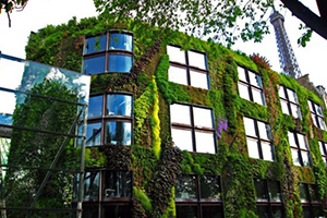 vertical-gardens